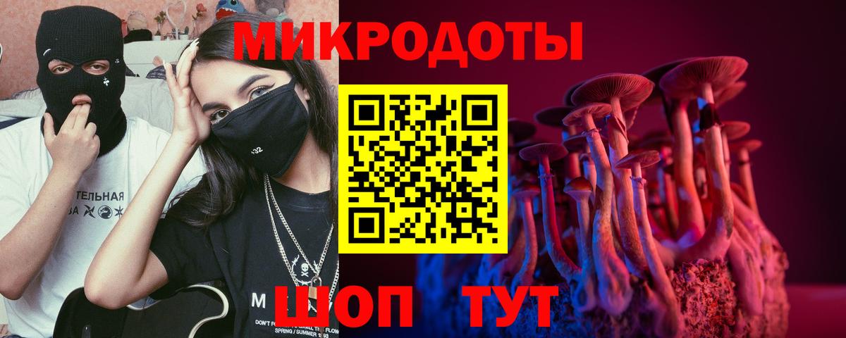 Псилоцибиновые грибы Psilocybe Златоуст